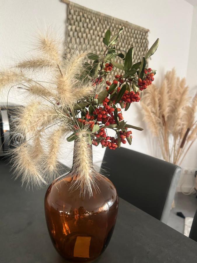 莱博德普罗旺斯Lou Bonur公寓 外观 照片